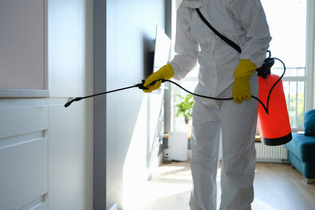 Best Industrial Mold Remediation in Star City, WV